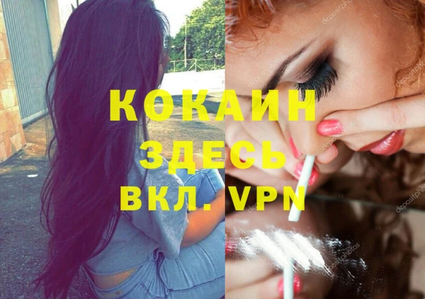 бошки Бронницы