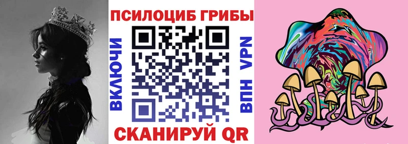 блэк спрут ссылки  купить  сайты  Гаджиево  Галлюциногенные грибы GOLDEN TEACHER 