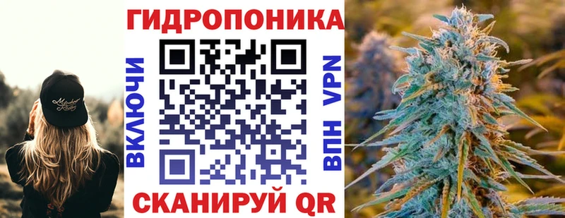 сколько стоит Гаджиево Канабис ГИДРОПОН